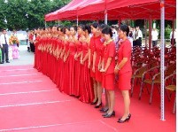 广西龙城庆典 文化传统与礼仪服务的交融共生